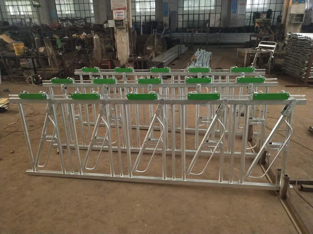 O fabricante profesional de equipos agrícolas durante 13 anos
